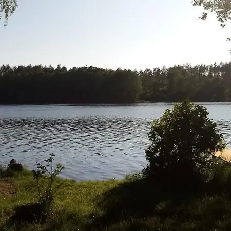 Nad Jeziorem Gowidlinskim Podiazy