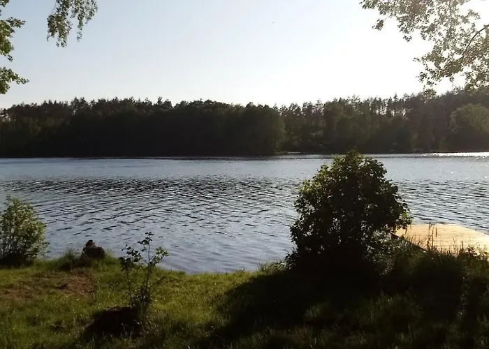 Nad Jeziorem Gowidlinskim Podiazy